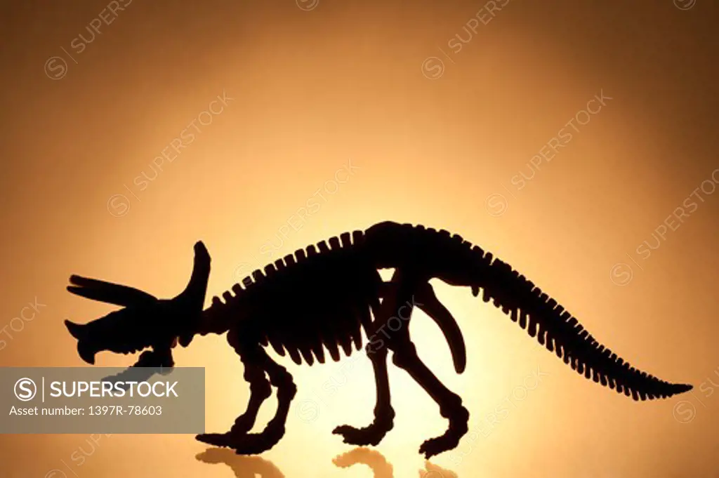 Triceratops skeleton silhouette