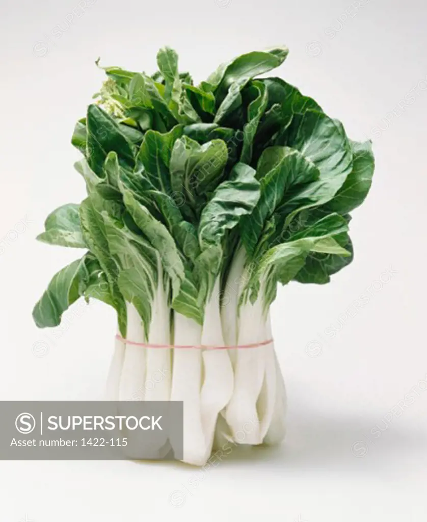 Close-up of bok choy