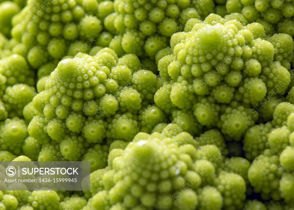 Romanesco, vegetable with a repeated construction called fractal geometry.