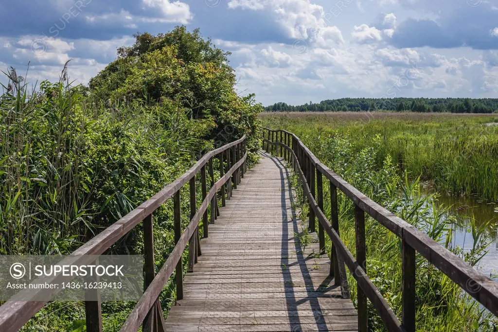 Swamp Footbridge - educational path in Narew National Park in Kurowo village, Podlaskie Voivodeship of northe eastern Poland.