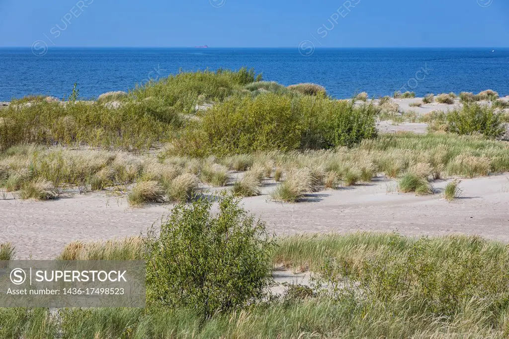 Mewia Lacha bird fauna nature reserve on the Sobieszewo Island, over Bay of Gdansk, Baltic Sea, Poland.