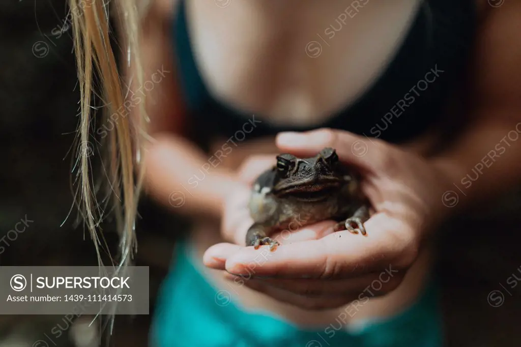 Woman holding frog in hands, Princeville, Hawaii, US