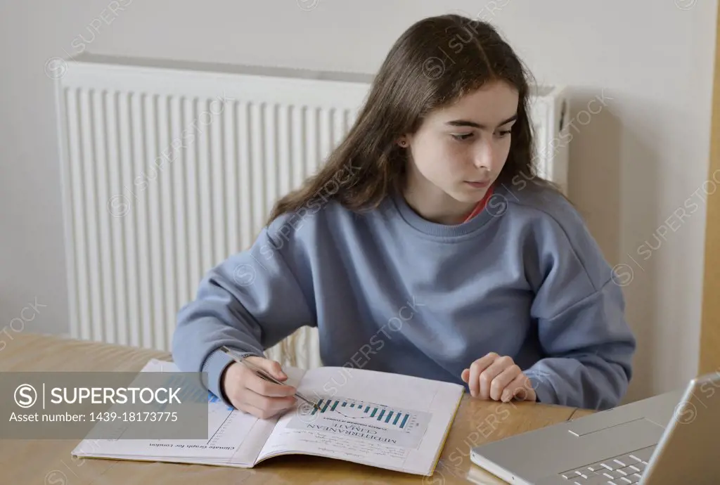 Girl using laptop for homework