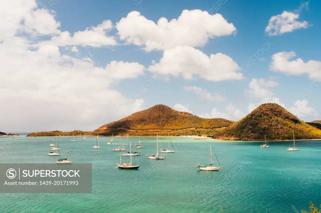 Antigua and Barbuda, Antigua, Sailboats in bay