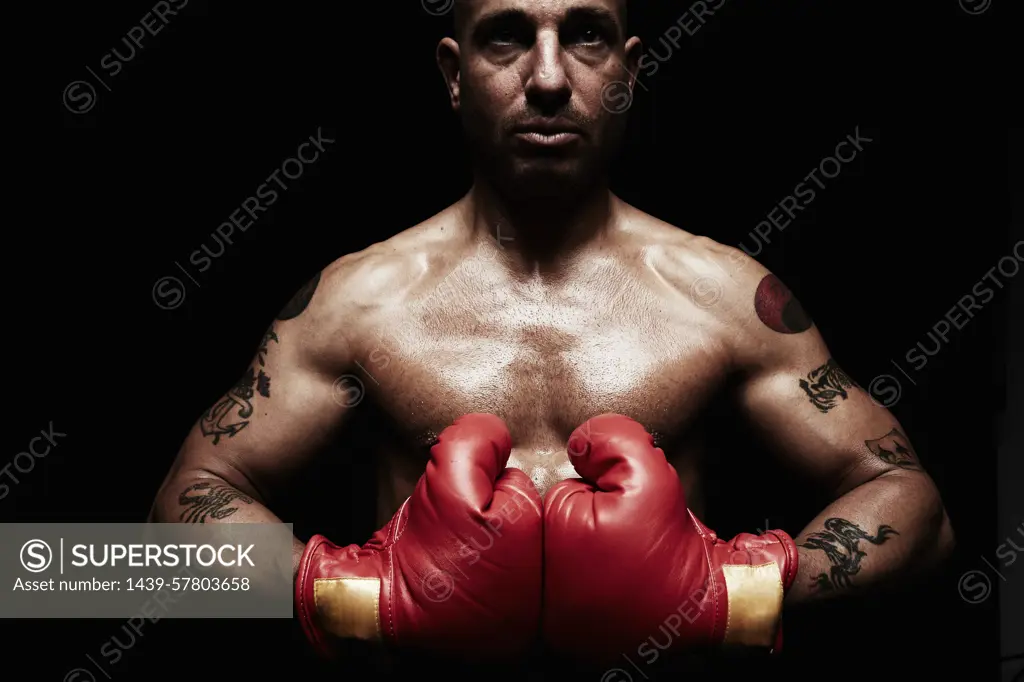 Boxer wearing boxing gloves