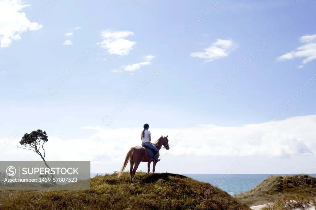 Horse rider on hilltop, Pakiri Beach, Auckland, New Zealand