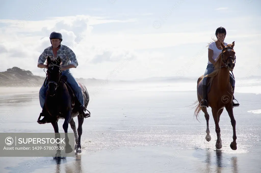 Horse riders galloping, Pakiri Beach, Auckland, New Zealand