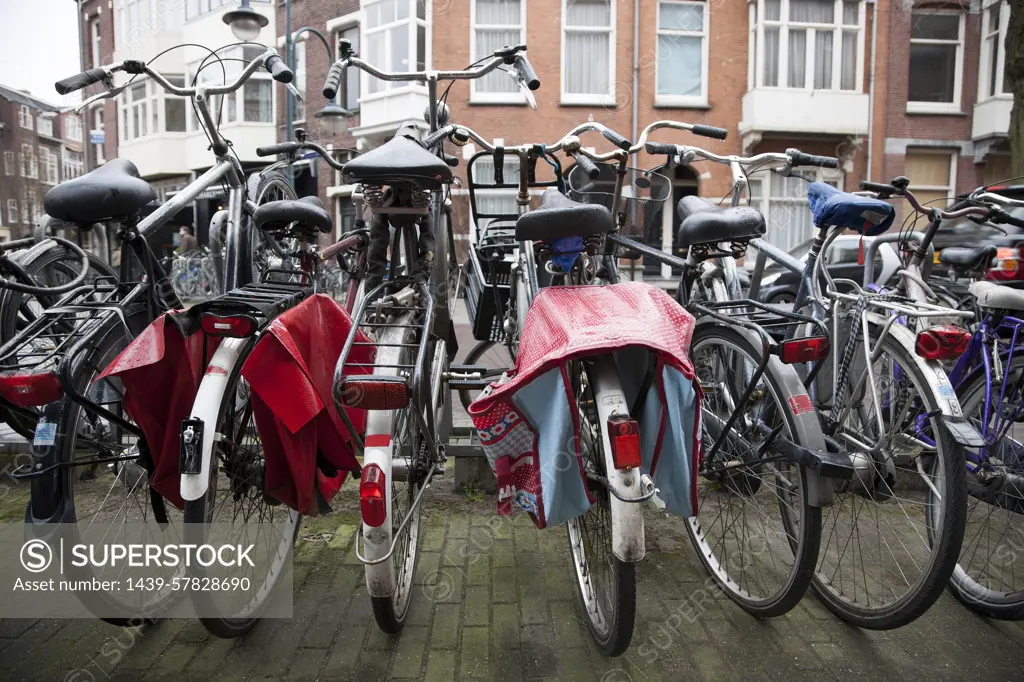 Rows of bicycles, Amsterdam, Netherlands