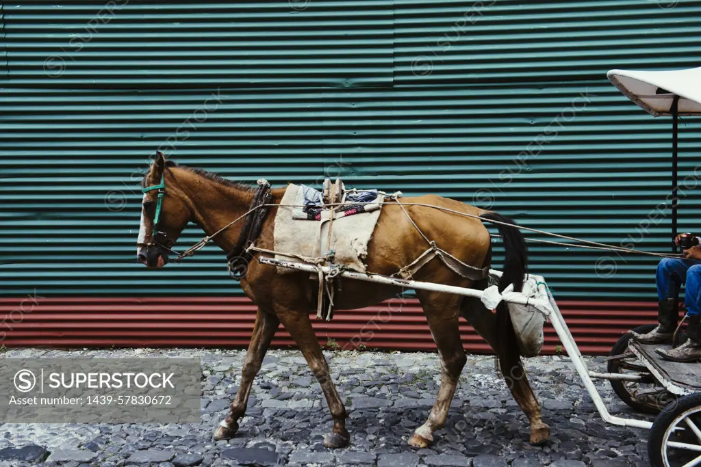 Horse-drawn transport, Antigua, Guatemala