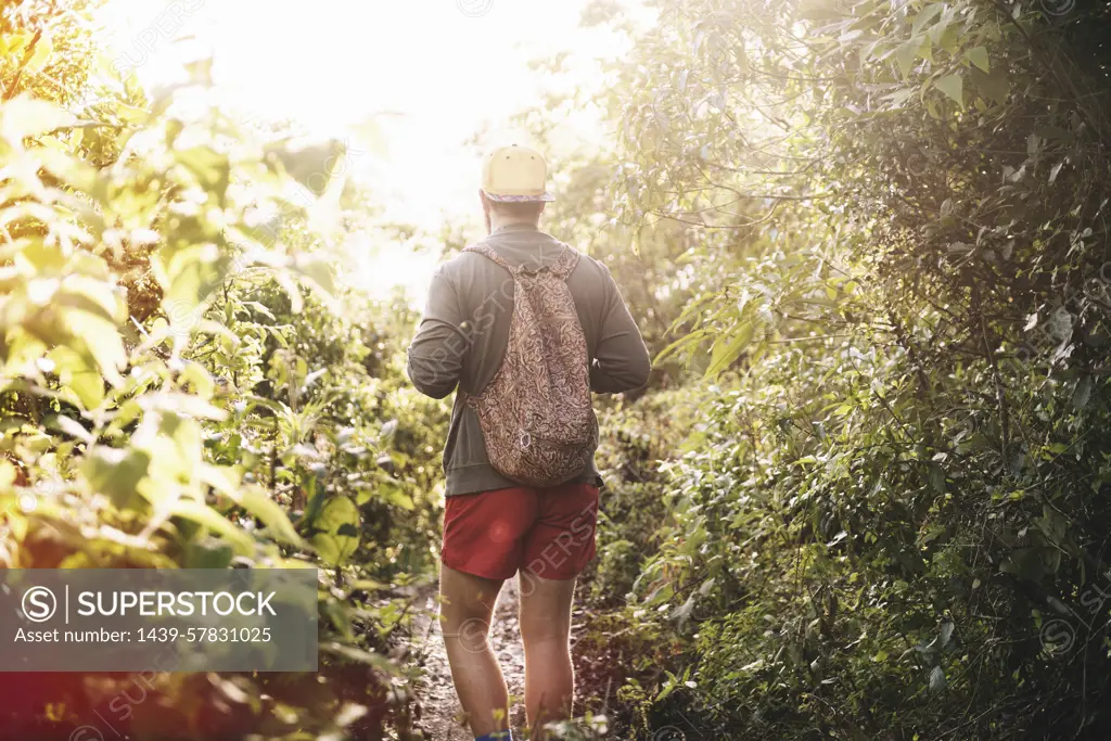 Rear view of young man hiking in rain forest at Lake Atitlan, Guatemala