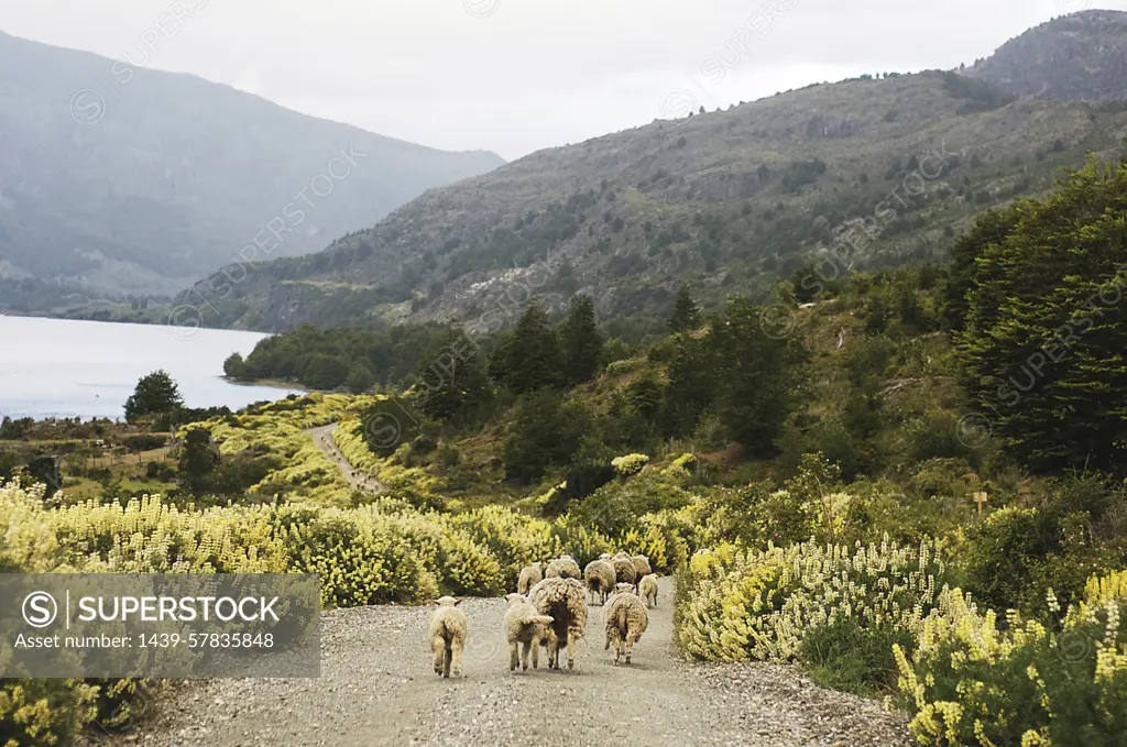 Puerto Tranquilo, Chile