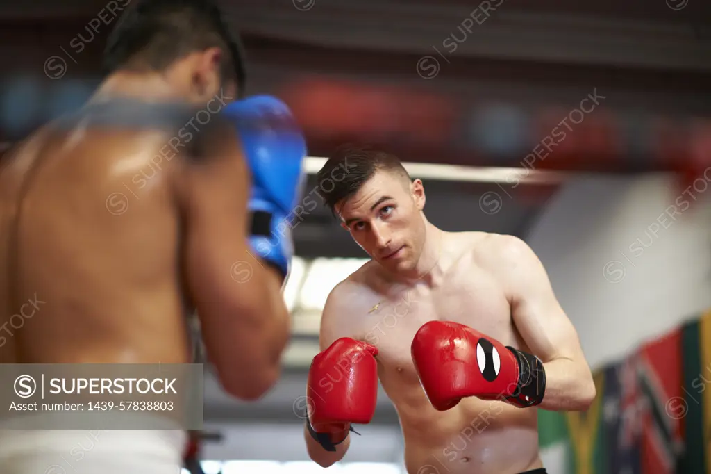 Two boxers sparring in boxing ring