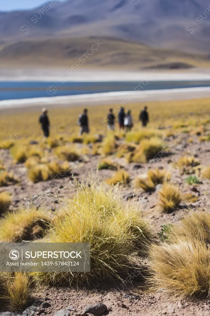 People visiting lake miscanti, San Pedro de Atacama, Chile