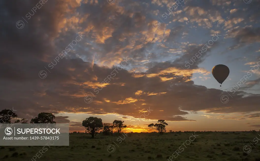 Hot air balloon over African savannah at sunrise, Masai Mara National Reserve, Kenya