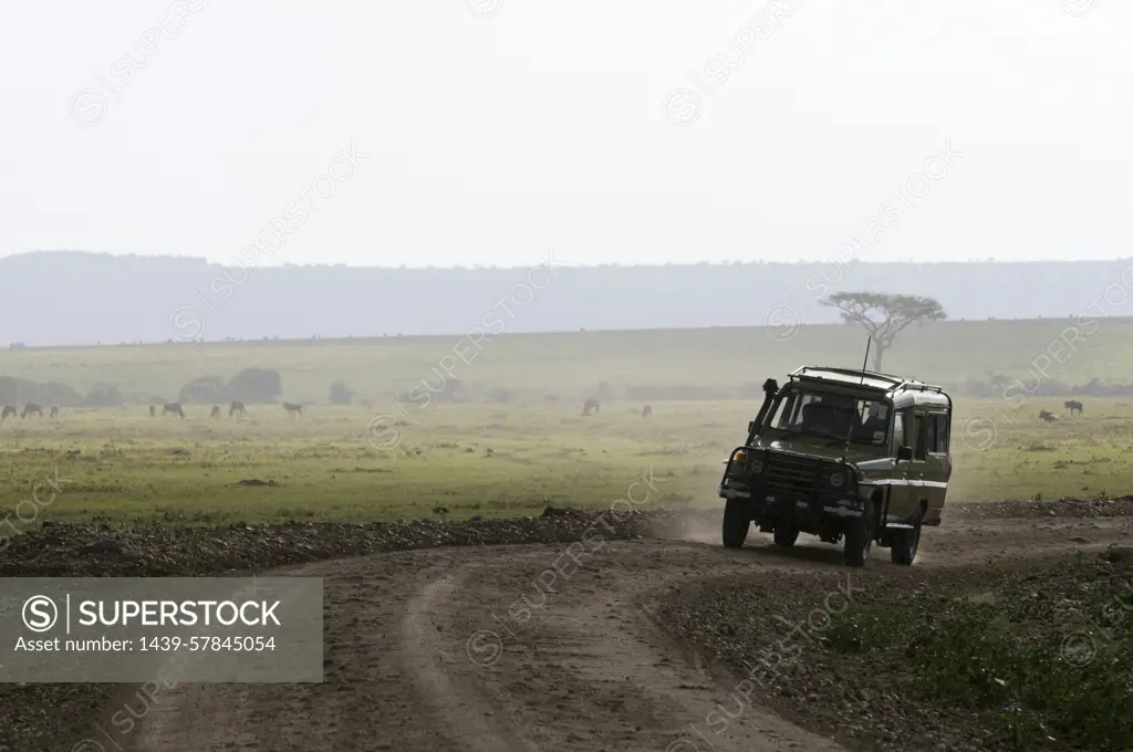 Off-road vehicle on safari, Masai Mara National Reserve, Kenya