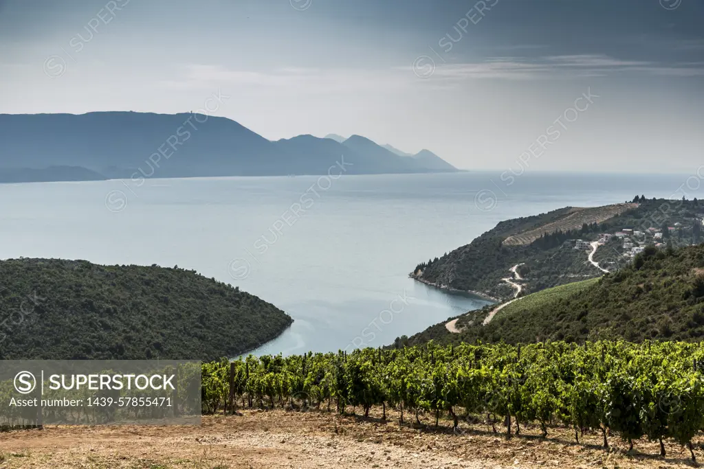 Farmland on coast by sea, Adamovec, Grad Zagreb, Croatia, Europe