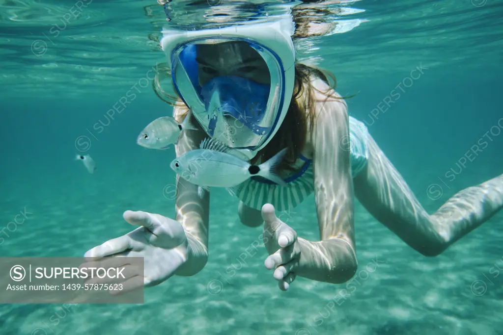 Underwater view of girl snorkelling, looking at fish, Limnos, Khios, Greece