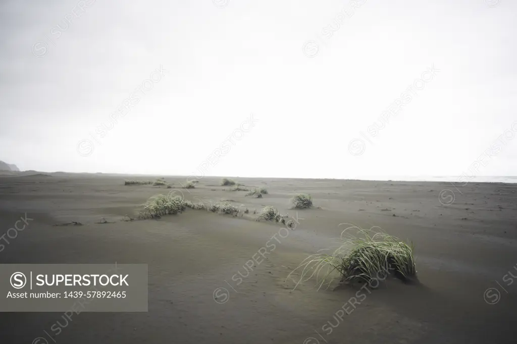 Karekare beach, Karekare, New Zealand