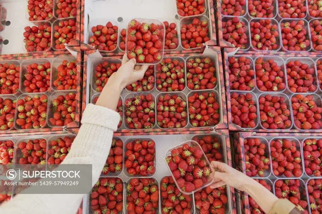 Hands selecting fresh strawberries at a market