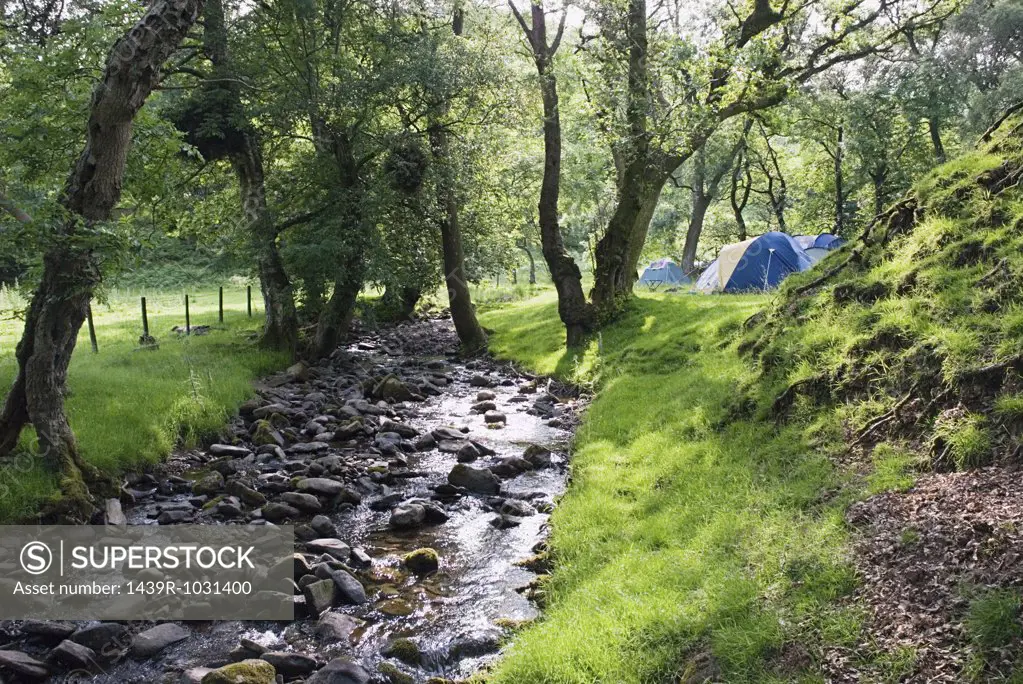 Tents by a stream