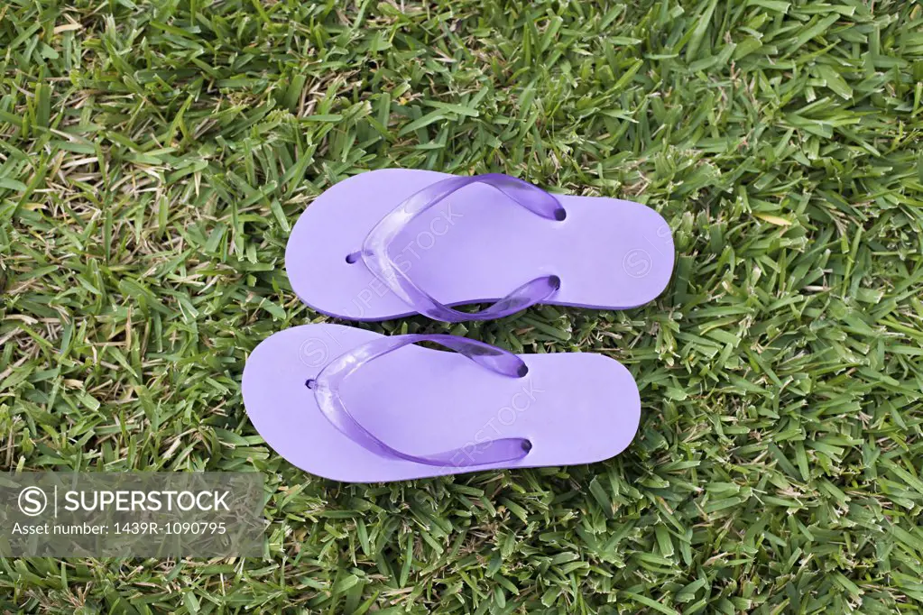 Purple flip flops