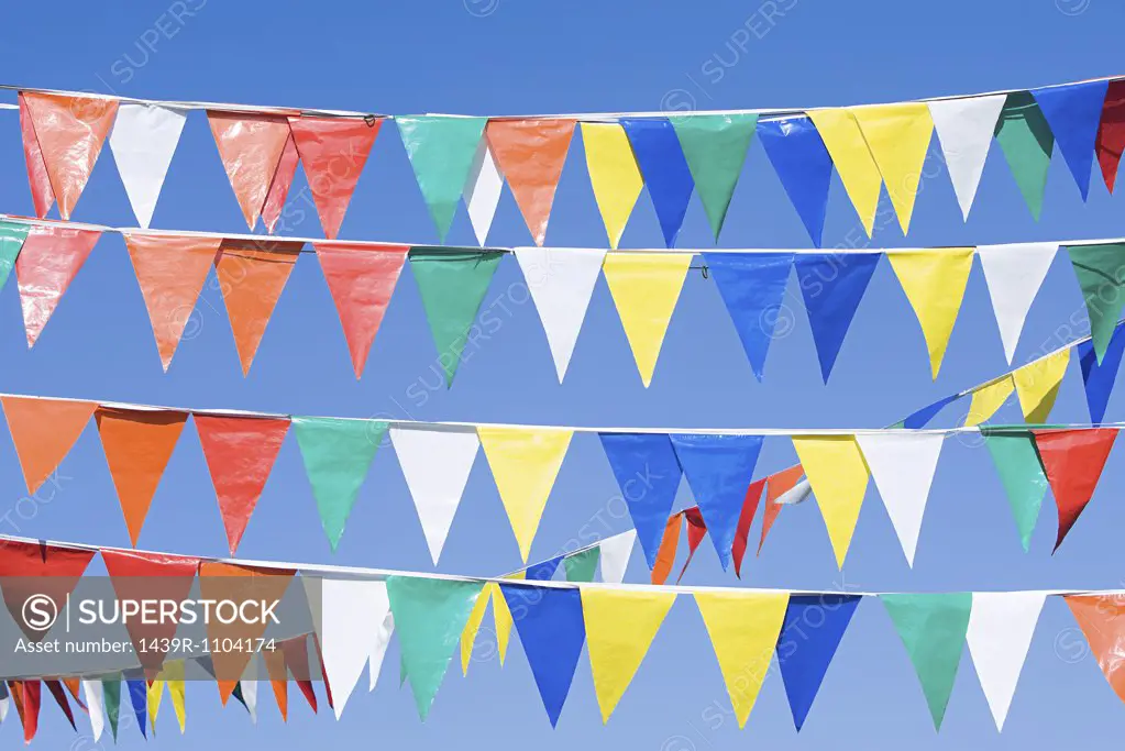 Bunting - SuperStock