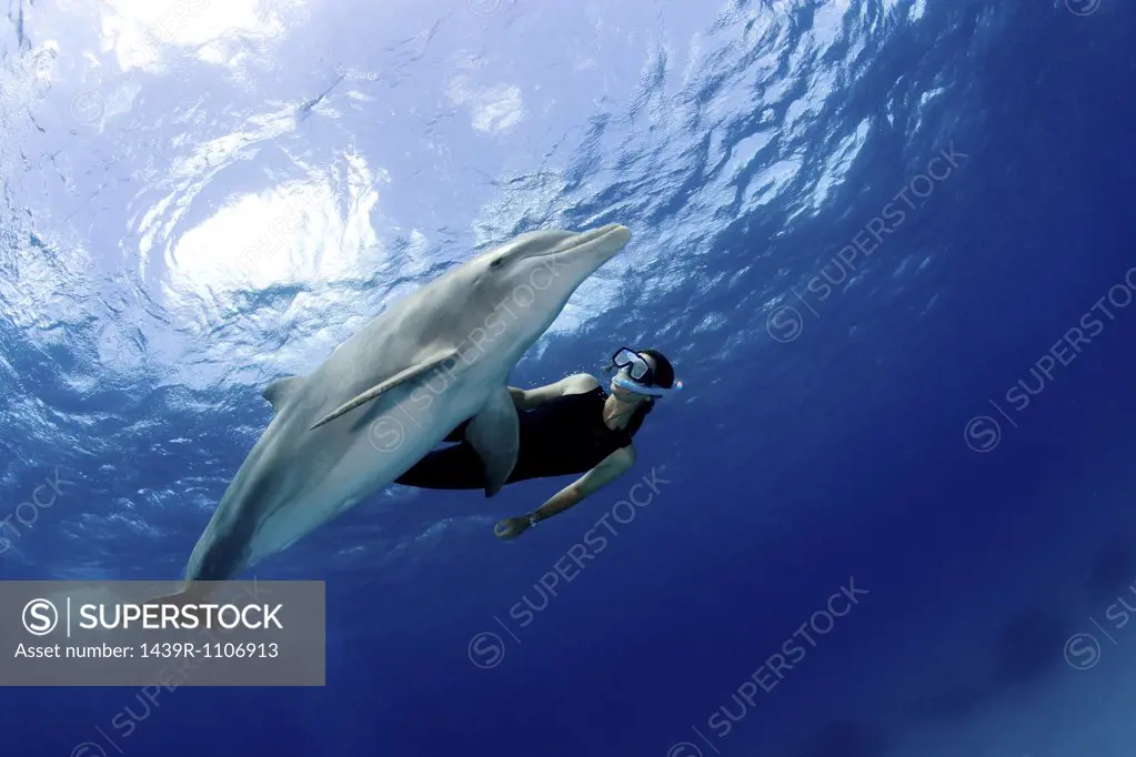 Snorkeler with dolphin.