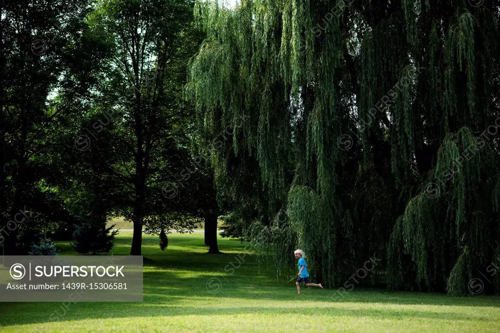 Boy playing under willow tree