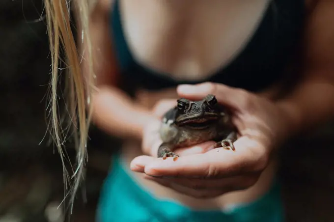 Woman holding frog in hands, Princeville, Hawaii, US