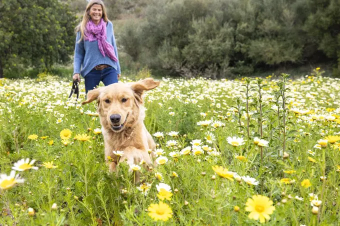 Spain, Mallorca, Smiling woman with Golden Retriever in blooming meadow