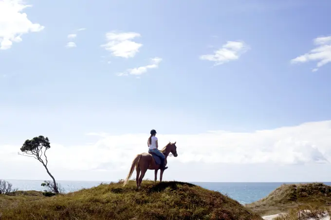 Horse rider on hilltop, Pakiri Beach, Auckland, New Zealand