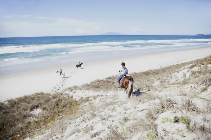 Horse riding, Pakiri Beach, Auckland, New Zealand