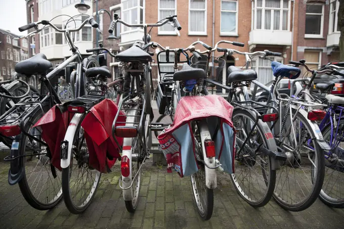 Rows of bicycles, Amsterdam, Netherlands