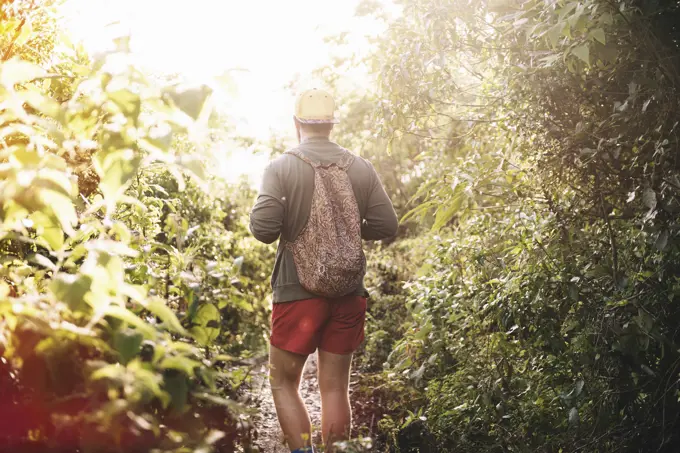 Rear view of young man hiking in rain forest at Lake Atitlan, Guatemala