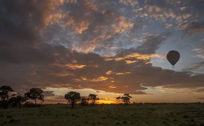 Hot air balloon over African savannah at sunrise, Masai Mara National Reserve, Kenya