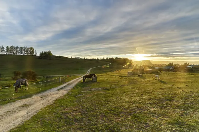 Countryside en route to Queenstown, New Zealand