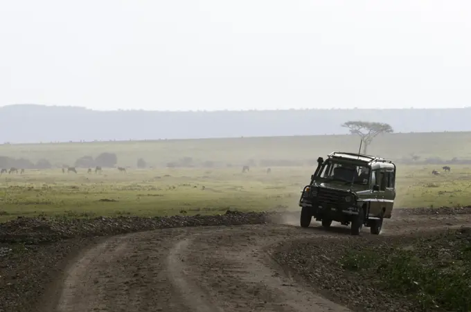 Off-road vehicle on safari, Masai Mara National Reserve, Kenya