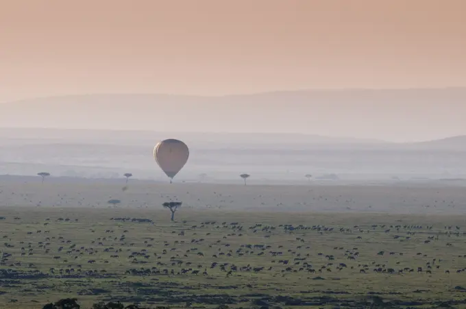 Balloon safari over Wildebeest migration, Masai Mara National Reserve, Kenya