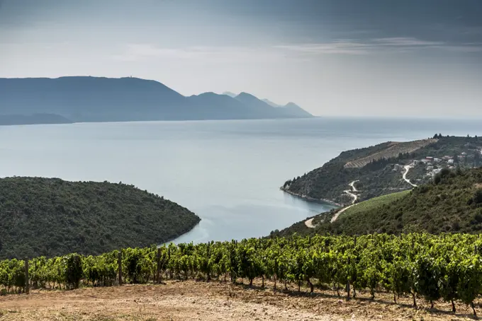 Farmland on coast by sea, Adamovec, Grad Zagreb, Croatia, Europe