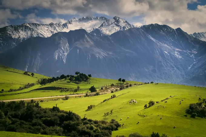 Rural scene with mountains behind, Kaikoura, Gisborne, New Zealand