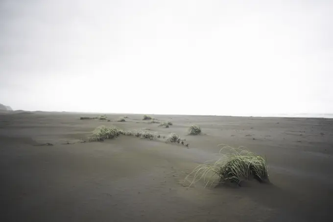 Karekare beach, Karekare, New Zealand