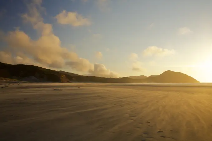 New Zealand beach, South Island