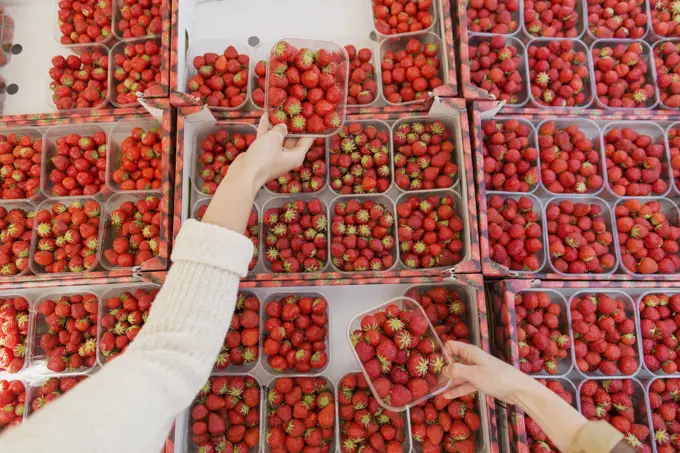 Hands selecting fresh strawberries at a market