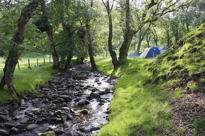 Tents by a stream