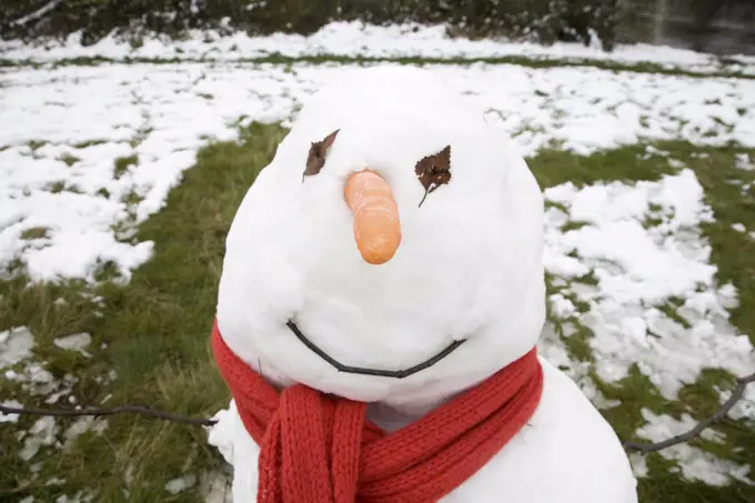 Snowman