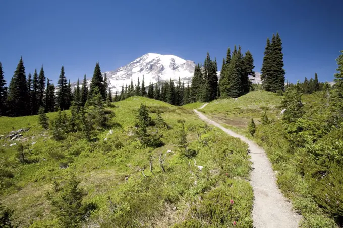 Mount rainer