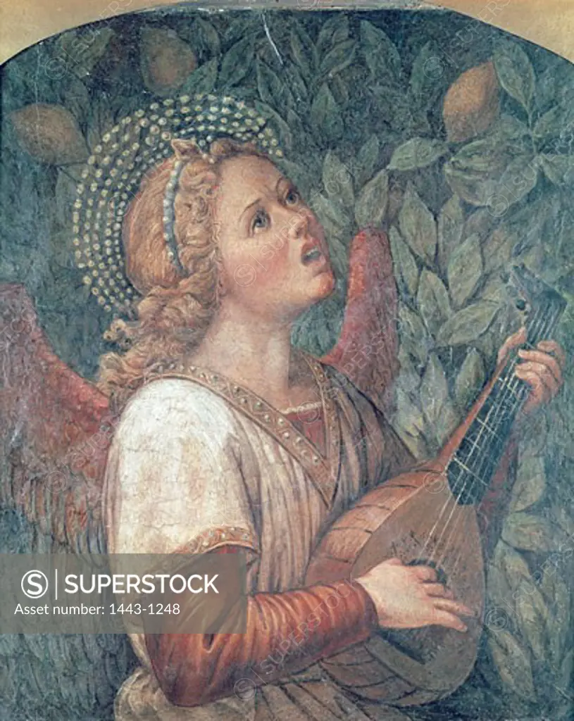 Angel making music Melozzo da Forlì (1438-1494 Italian) Fresco