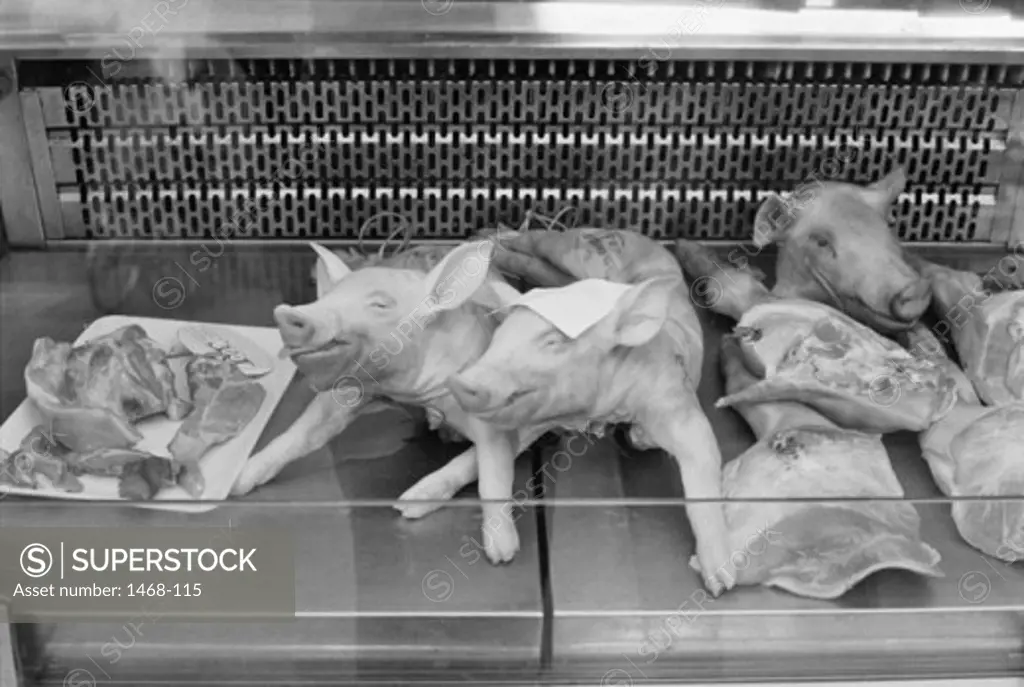 Dead pigs in a butcher shop