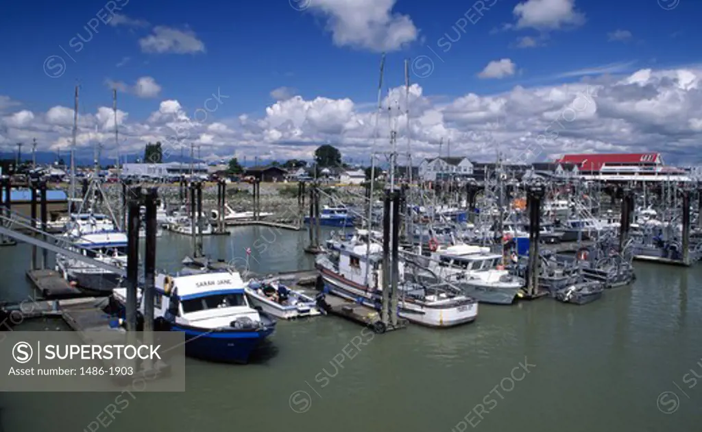 Canada, British Columbia, Richmond, harbour