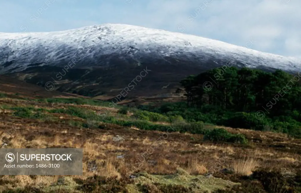 Mountain covered with snow, Knockmealdown Mountains, Ireland